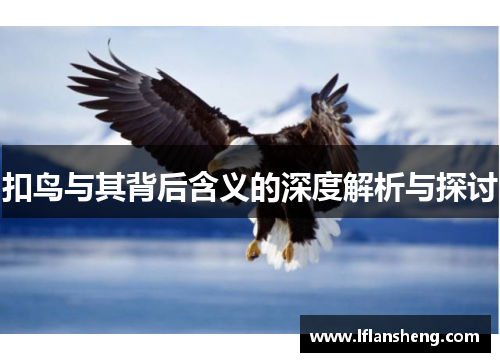 扣鸟与其背后含义的深度解析与探讨