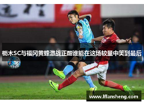 枥木SC与福冈黄蜂激战正酣谁能在这场较量中笑到最后