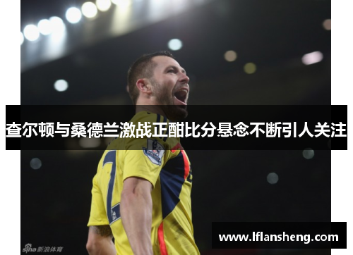 查尔顿与桑德兰激战正酣比分悬念不断引人关注